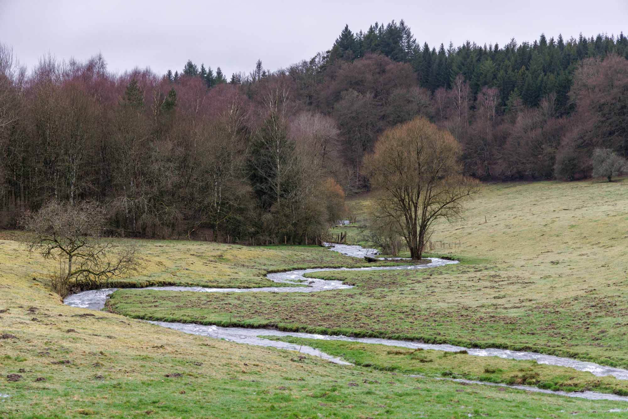 Landscape of Bertrix with winding stream crossing a meadow and bordered by forest