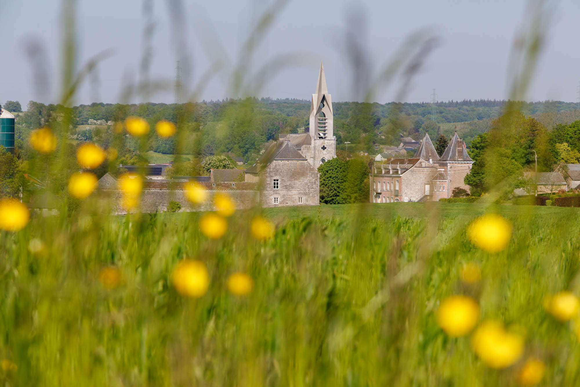 Vue printanière sur Ferrières avec des fleurs en premier plan